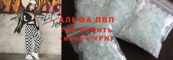 стаф Аркадак