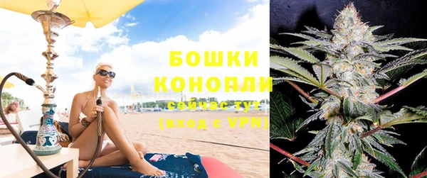 стаф Аркадак