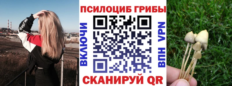 Купить  Курильск  Псилоцибиновые грибы Cubensis 